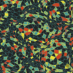 Tessellation