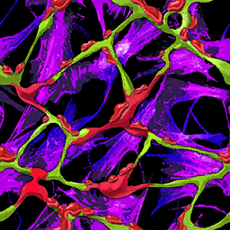 Dendritic Devastation